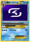 SK Gaming