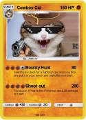 Cowboy Cat