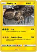 huging cat