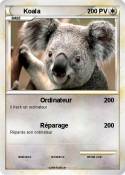 Koala
