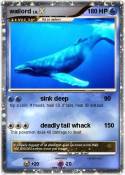 wailord