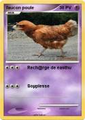 faucon poule