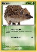 Pinnsvin