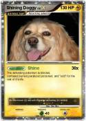 Shining Doggy