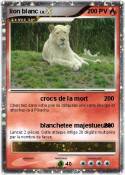lion blanc
