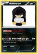 hideaway pet