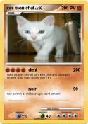 ces mon chat