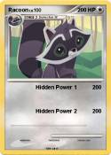 Racoon