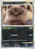 Angry Cat