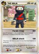 THE NINJA