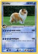 le colley