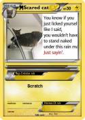 Scared cat