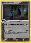 pro minecrafter