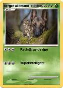berger allemand