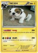 THE DOG