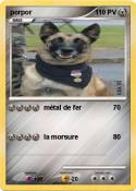 porpor