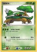 torterra