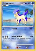Ponyaqua