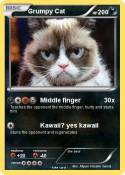 Grumpy Cat