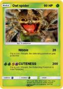 Owl spider