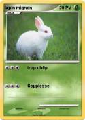 lapin mignon