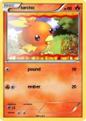 torchic