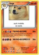 Doge