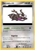 Raccoon