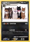 CHATS