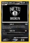 brooklyn nets