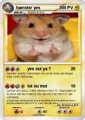 hamster yes