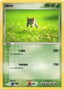kitten
