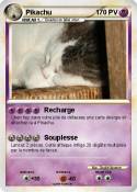 Petit chat