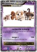 les animeaux
