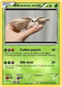 Silkworm moth