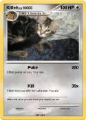 Kitteh
