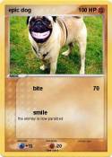 epic dog