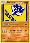Cub Scouts