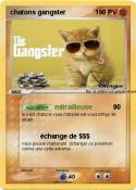 chatons gangste