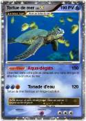 Tortue de mer