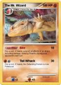 The Mr. Wizard