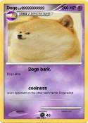 Doge