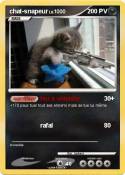 chat-snapeur