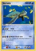 Sea turtle