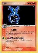bird