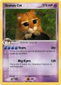 Grumpy Cat