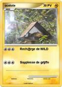 ocelote