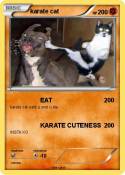 karate cat