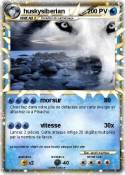 huskysiberian