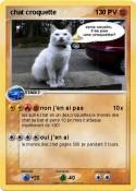 chat croquette